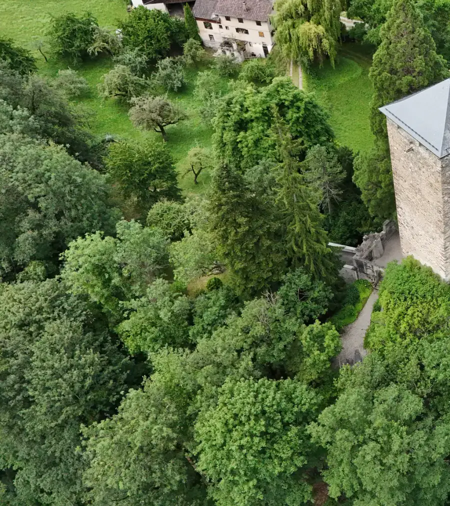 Burg Baldenstein Luftaufnahme 1 links