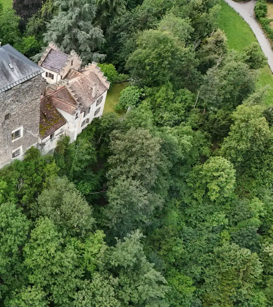 Burg Baldenstein Luftaufnahme 1 rechts
