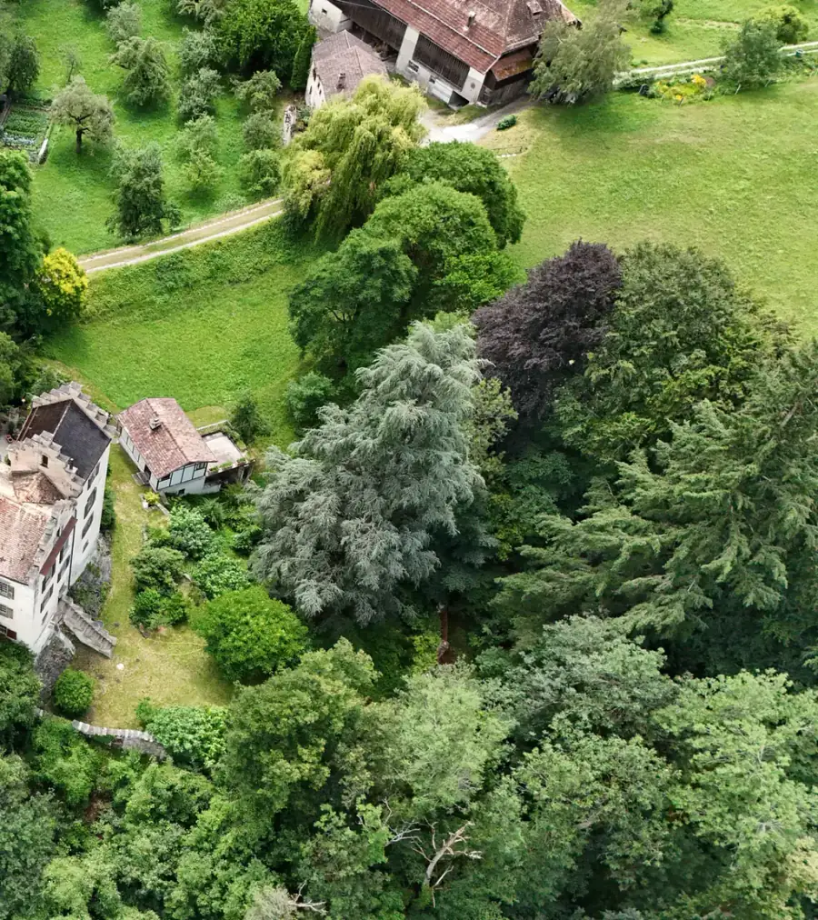 Burg Baldenstein Luftaufnahme 2 rechts