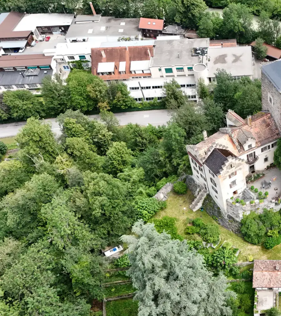 Burg Baldenstein Luftaufnahme 3 links