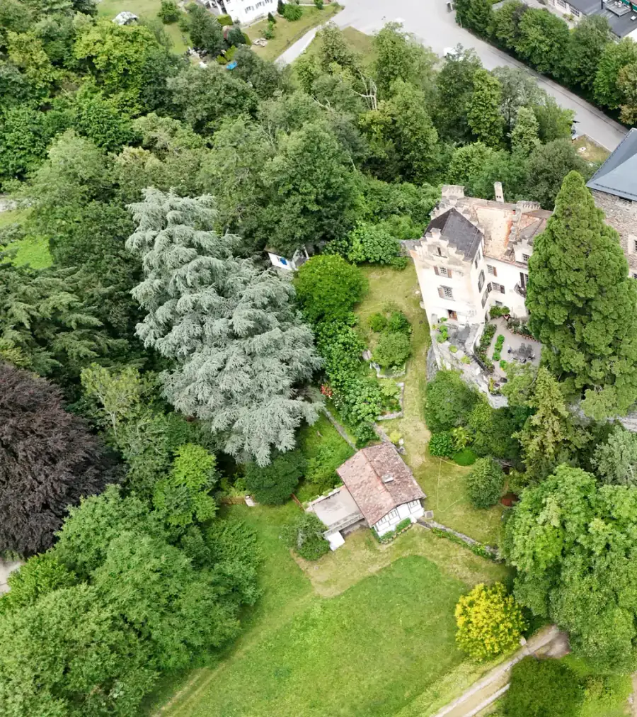 Burg Baldenstein Luftaufnahme 4 links