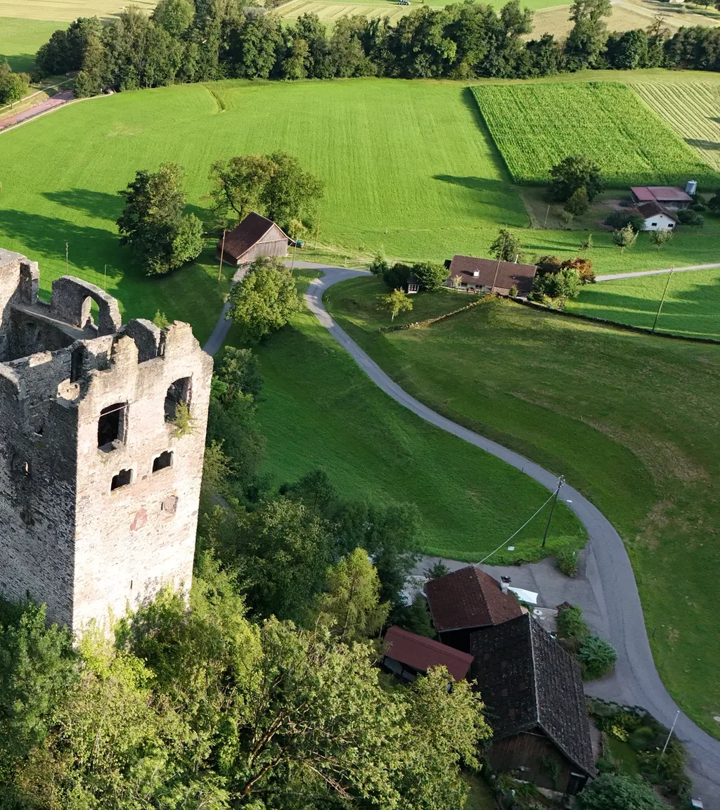 Ruine Gräpplang Luftaufnahme 4 rechts