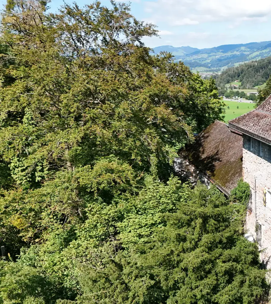 Burg Oberwindegg Luftaufnahme 1 links