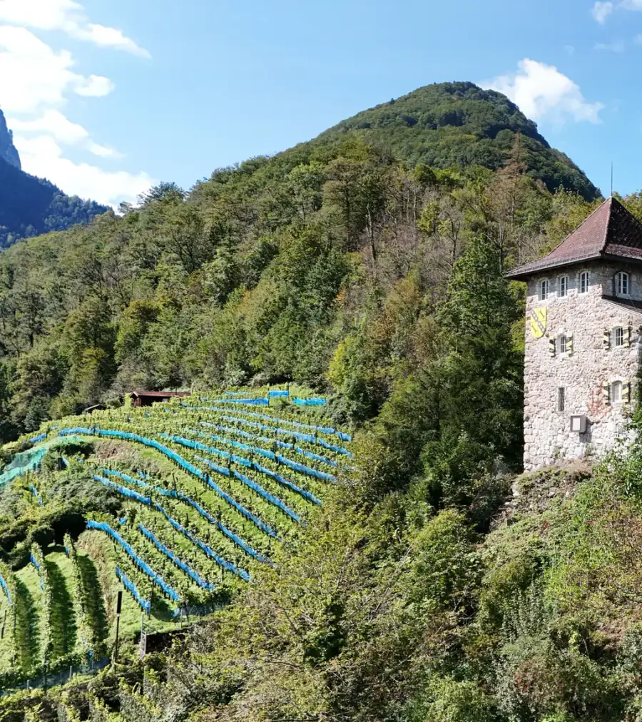 Burg Oberwindegg Luftaufnahme 3 links
