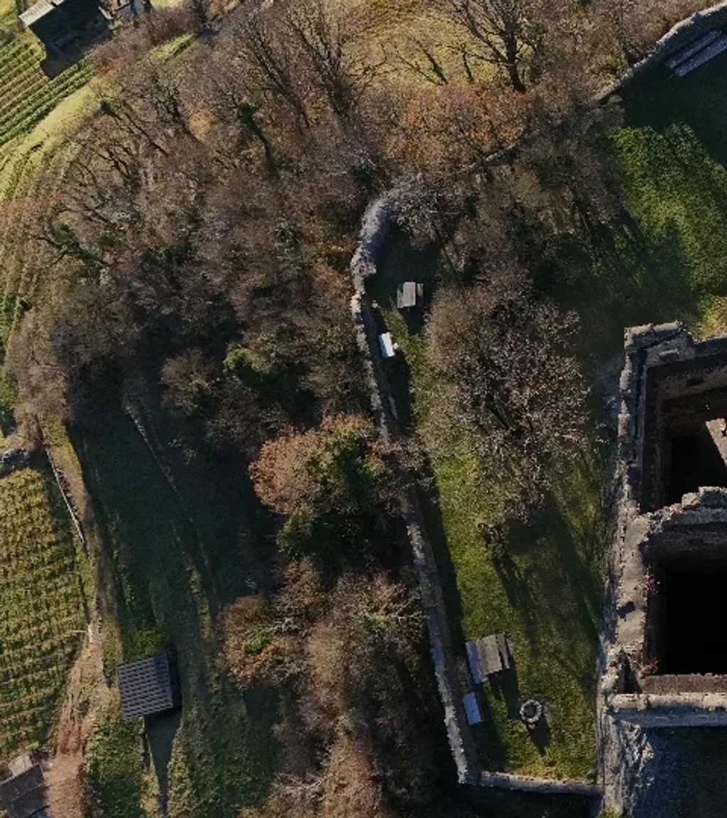 Ruine Wartau Luftaufnahme 4 links