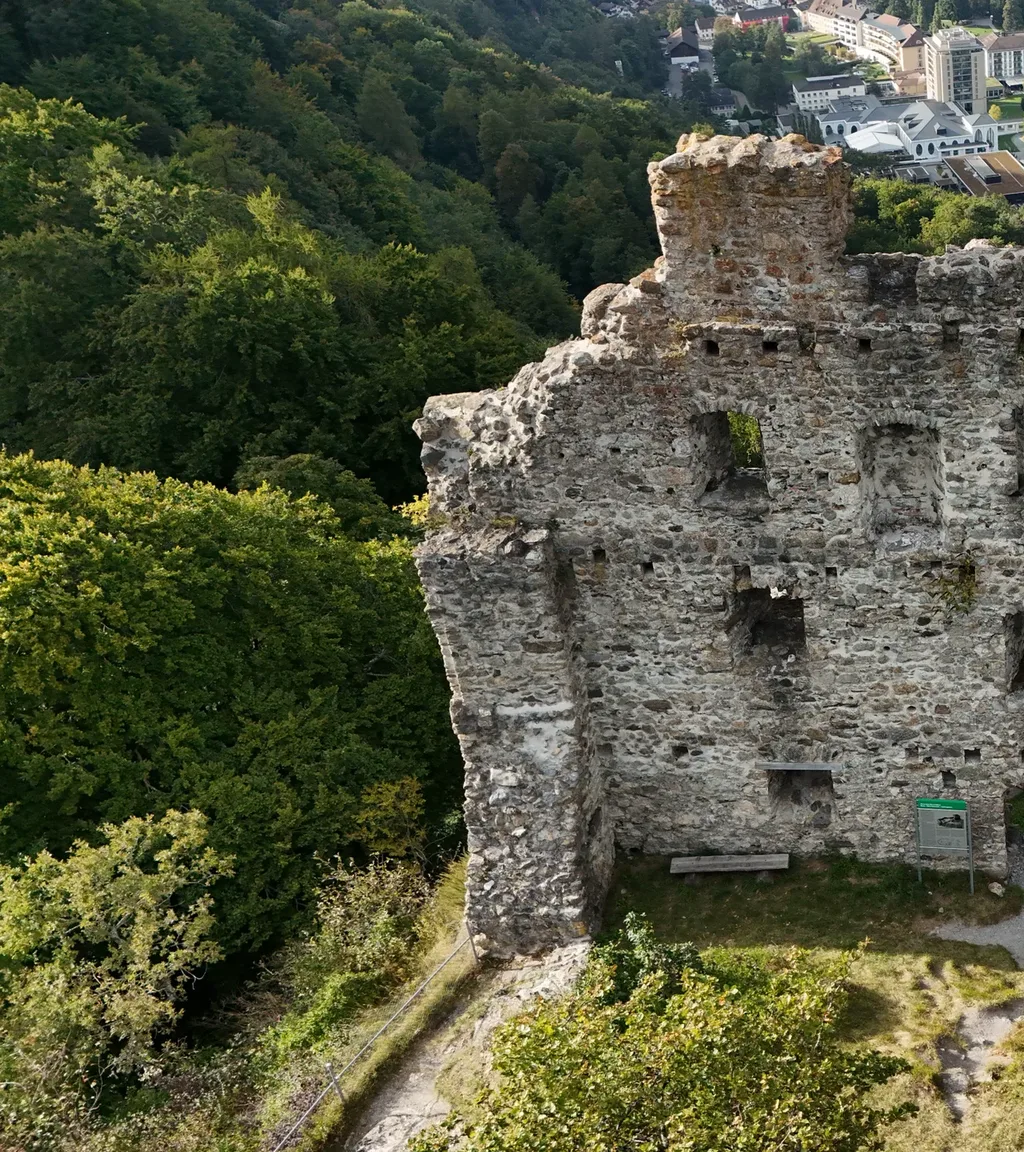 Ruine Wartenstein Luftaufnahme 1 links