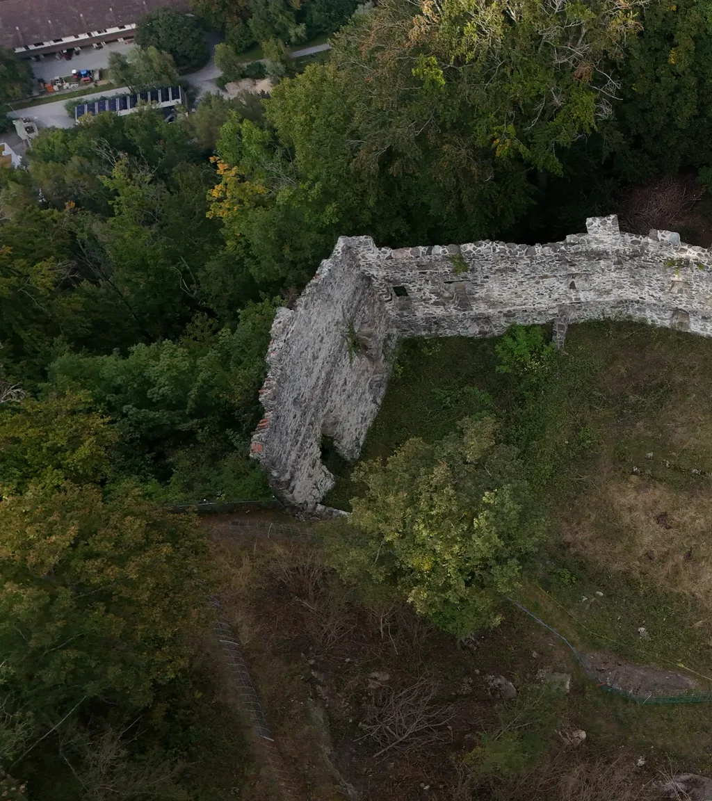 Ruine Wartenstein Luftaufnahme 3 links