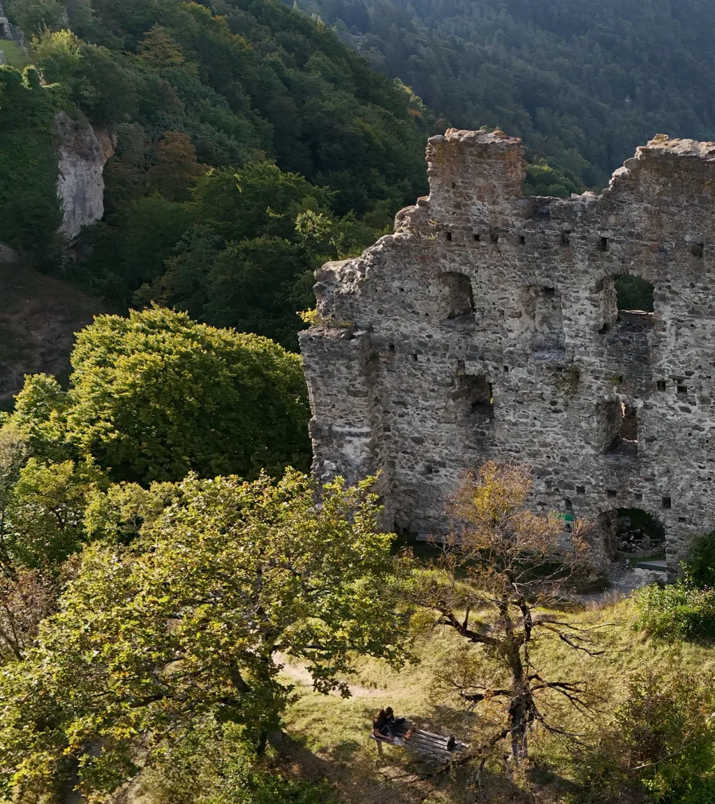 Ruine Wartenstein Luftaufnahme 5 links