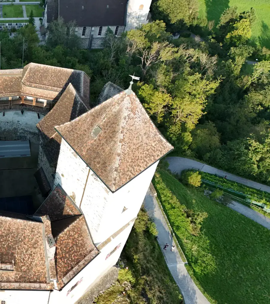 Schloss Gutenberg Luftaufnahme 4 rechts