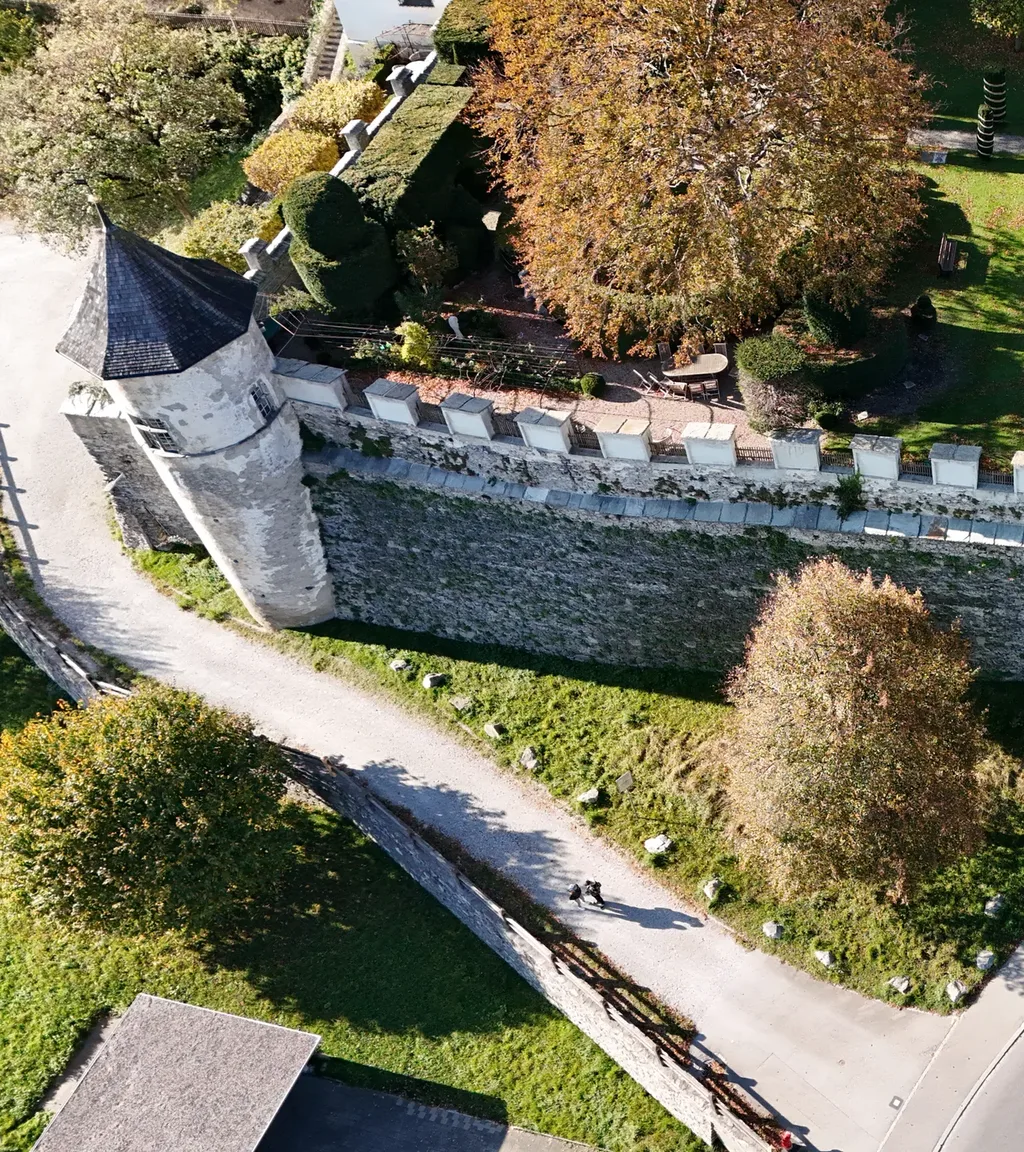 Schloss Haldenstein Luftaufnahme 1 links