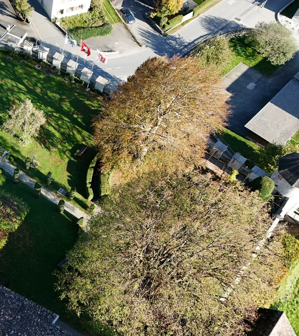 Schloss Haldenstein Luftaufnahme 2 rechts
