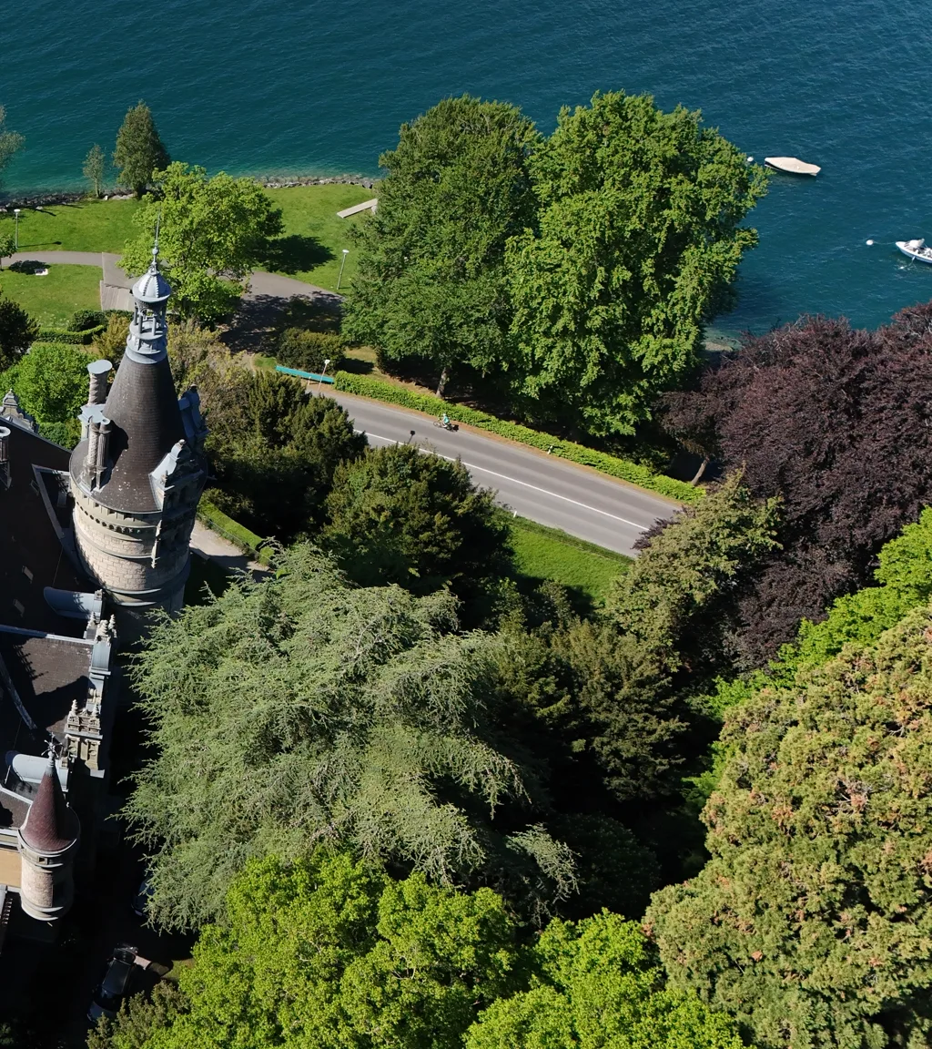 Schloss Hünegg Luftaufnahme 2 rechts