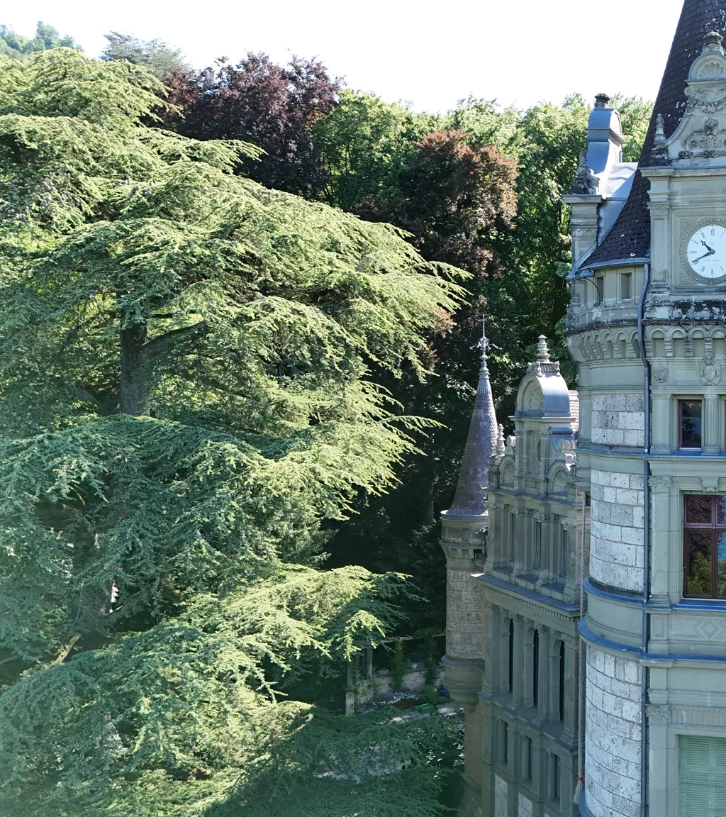 Schloss Hünegg Luftaufnahme 3 links