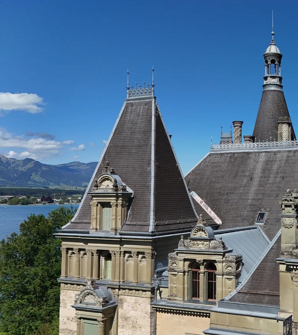 Schloss Hünegg Luftaufnahme 6 links