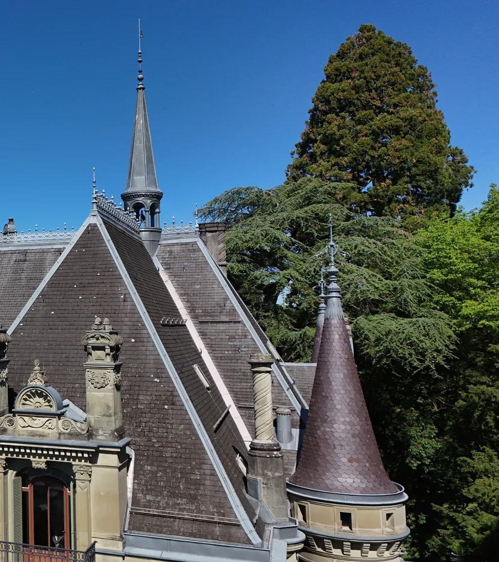 Schloss Hünegg Luftaufnahme 6 rechts