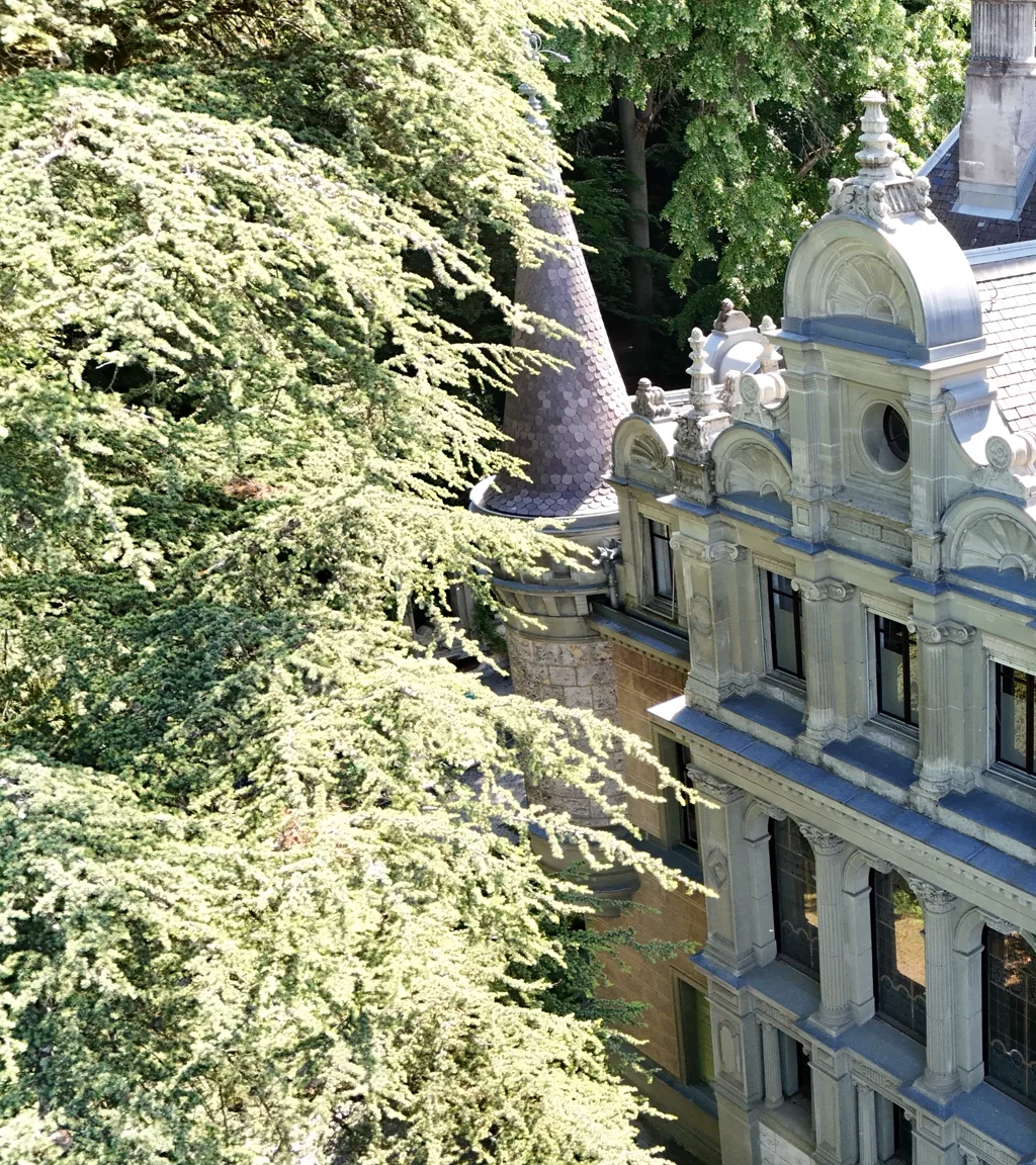 Schloss Hünegg Luftaufnahme 12 links