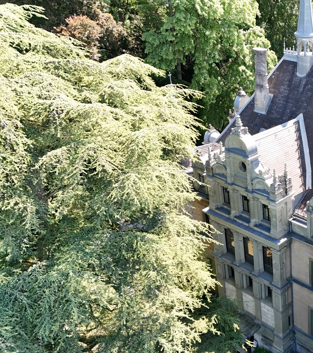 Schloss Hünegg Luftaufnahme 13 links