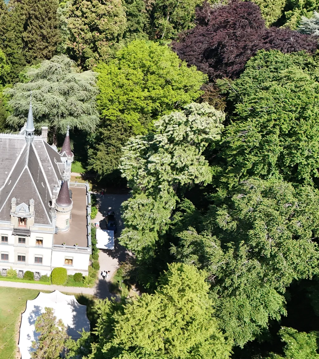Schloss Hünegg Luftaufnahme 14 rechts