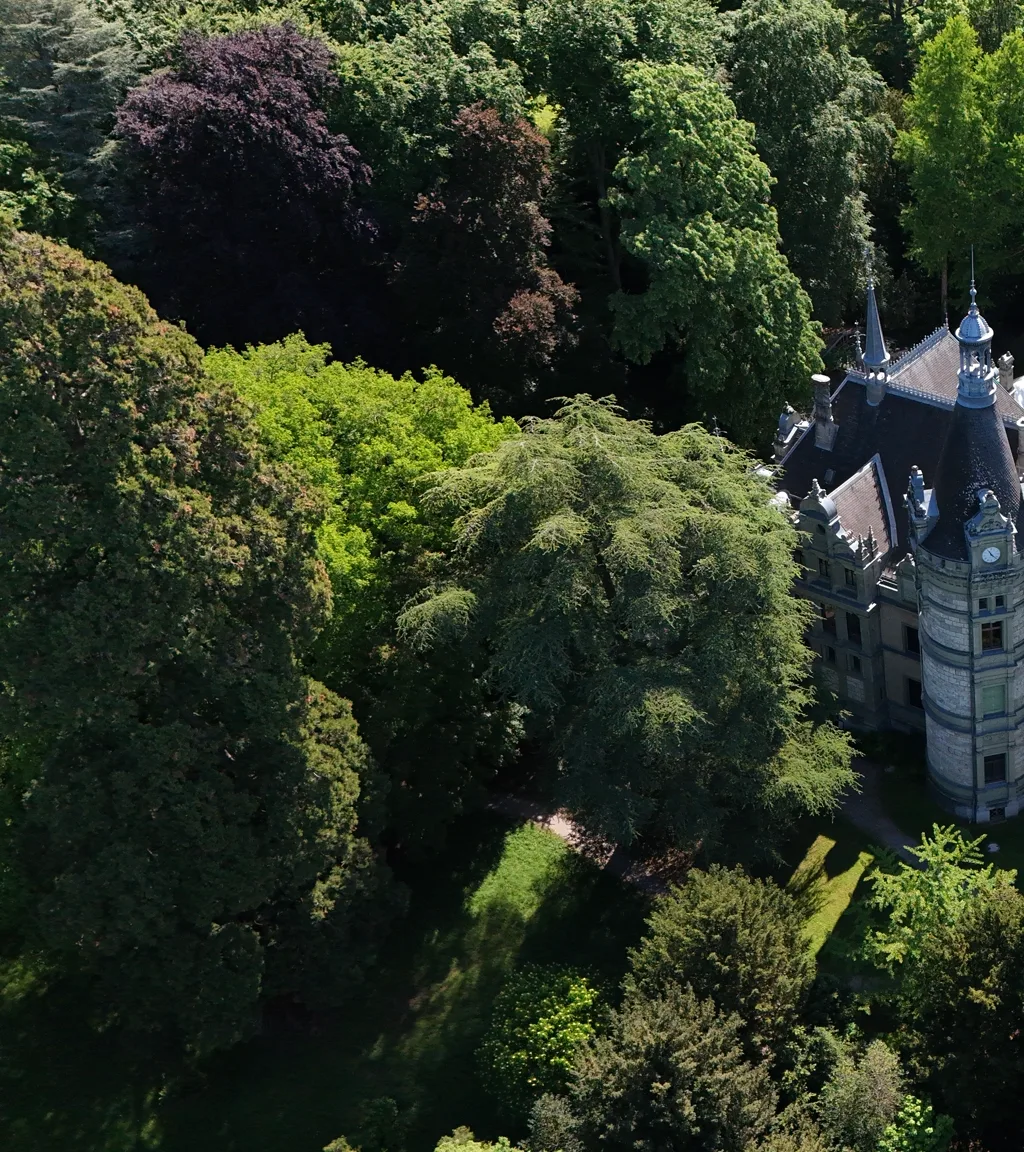 Schloss Hünegg Luftaufnahme 15 links