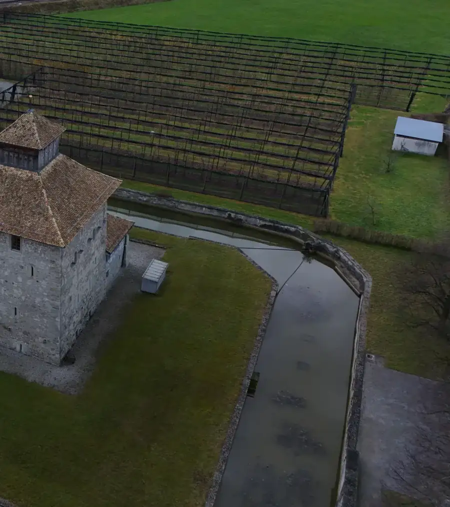 Schloss Pfäffikon Luftaufnahme 1 rechts