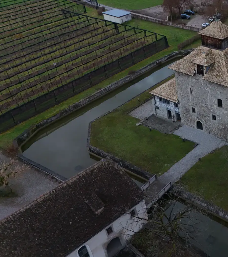 Schloss Pfäffikon Luftaufnahme 3 links
