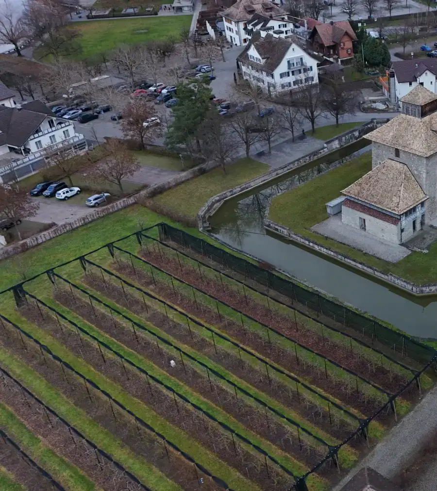 Schloss Pfäffikon Luftaufnahme 5 links