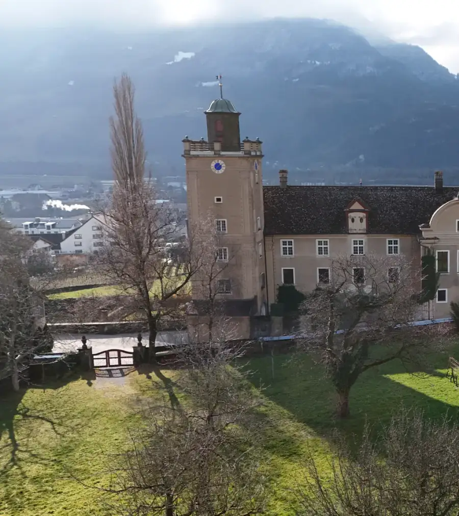 Schloss Salenegg Luftaufnahme 1 links