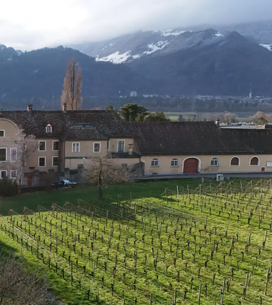 Schloss Salenegg Luftaufnahme 1 rechts
