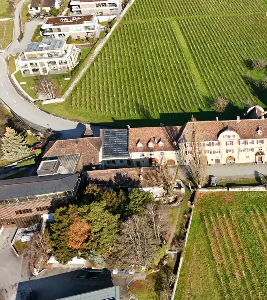 Schloss Salenegg Luftaufnahme 2 links
