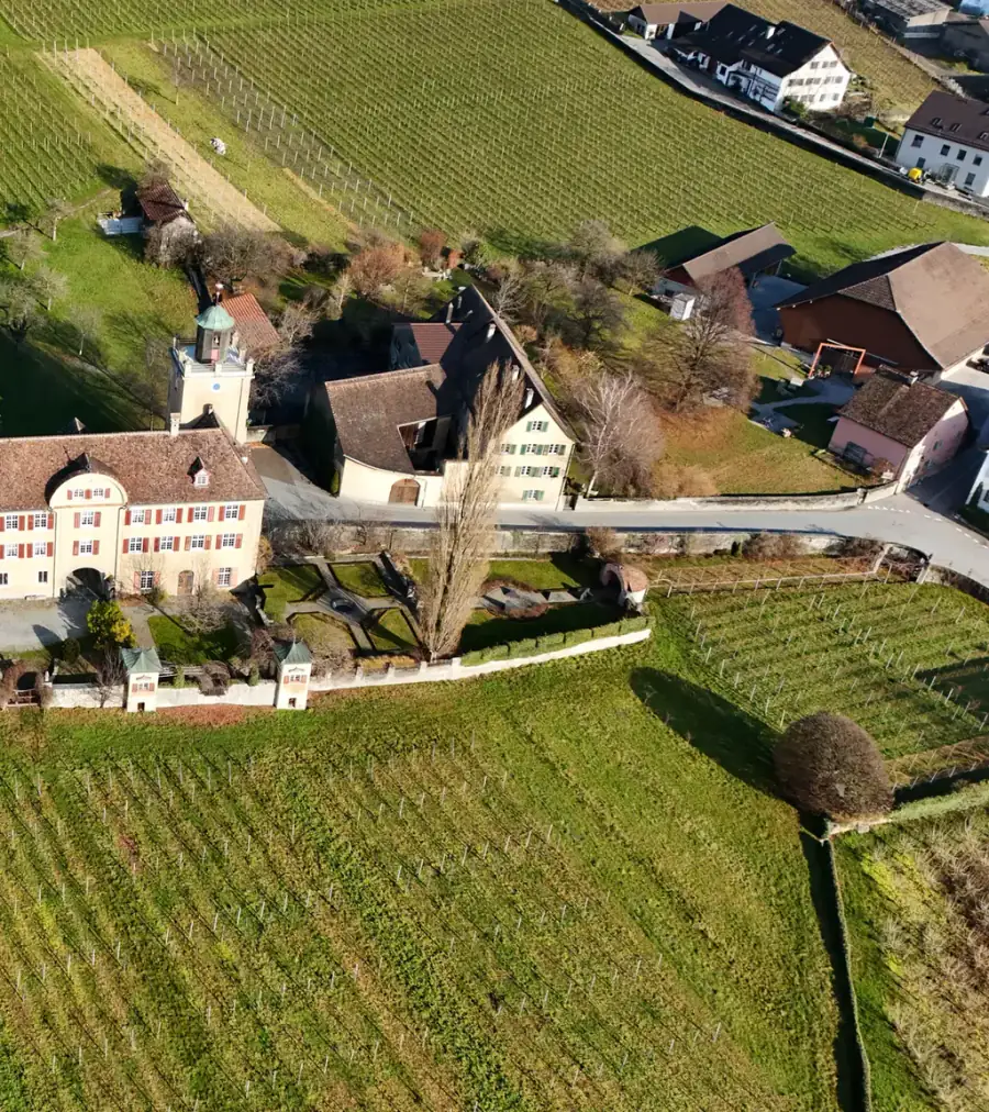 Schloss Salenegg Luftaufnahme 2 rechts