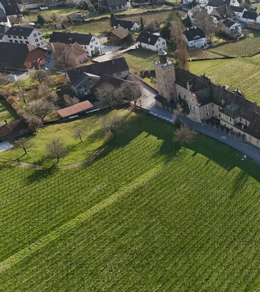 Schloss Salenegg Luftaufnahme 3 links
