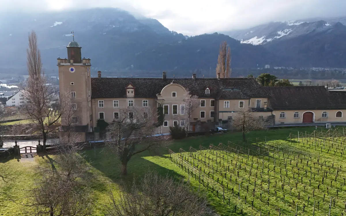 Schloss Salenegg