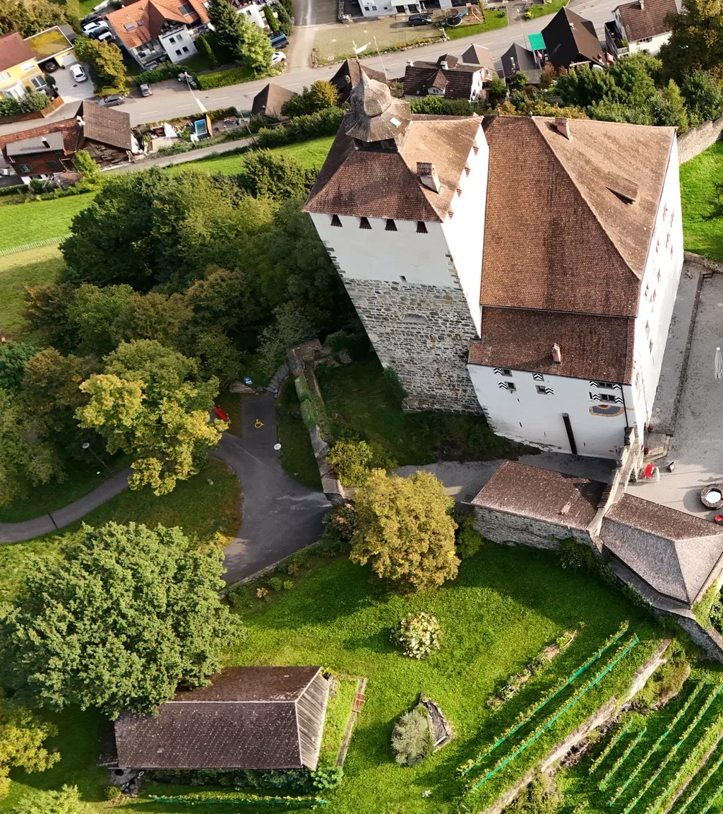 Schloss Werdenberg Luftaufnahme 10 links
