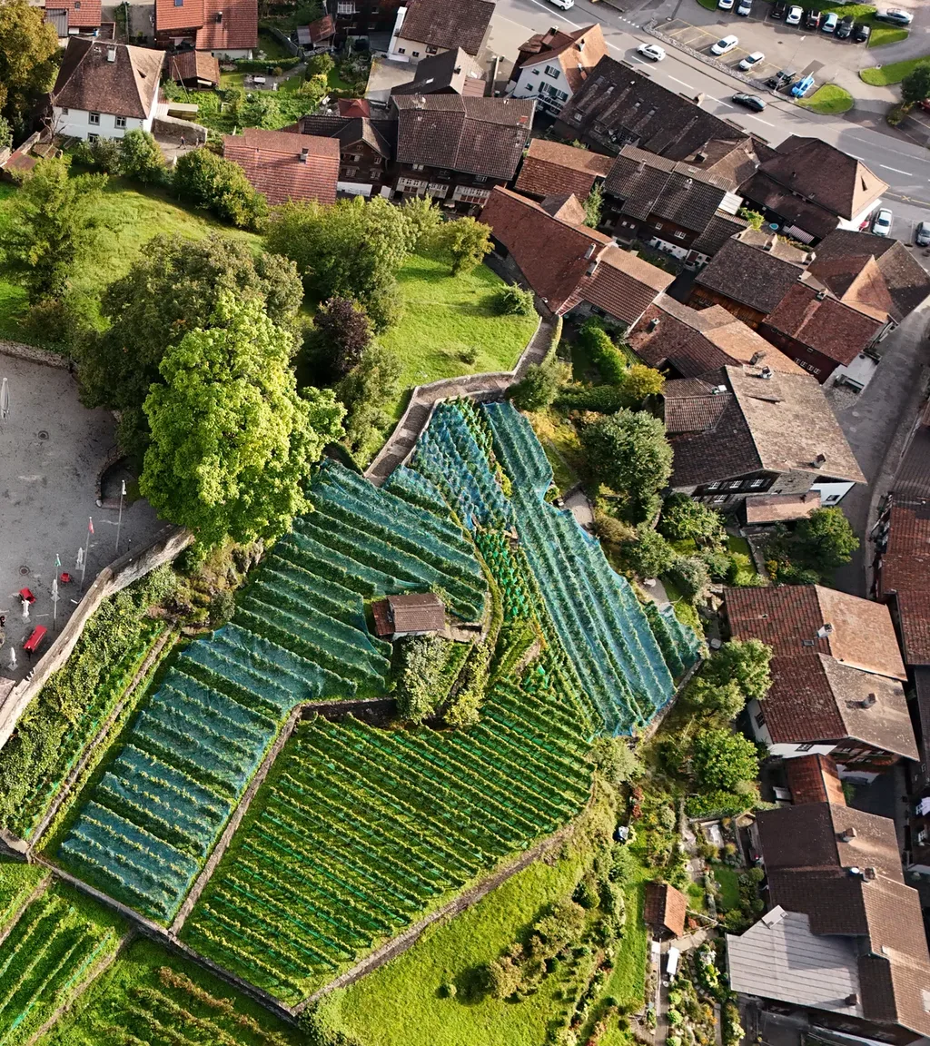 Schloss Werdenberg Luftaufnahme 10 rechts