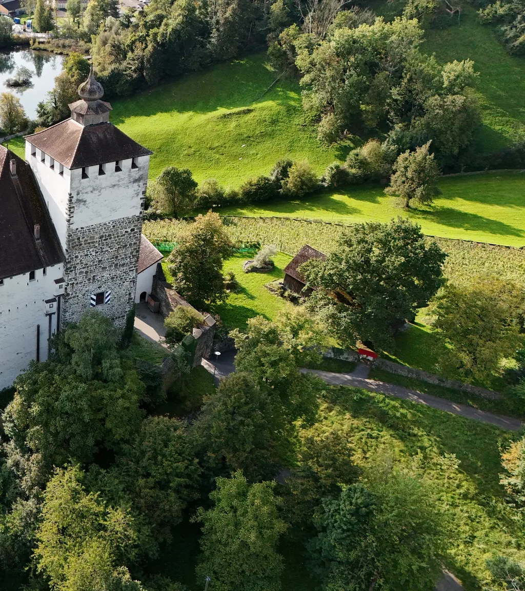 Schloss Werdenberg Luftaufnahme 11 rechts
