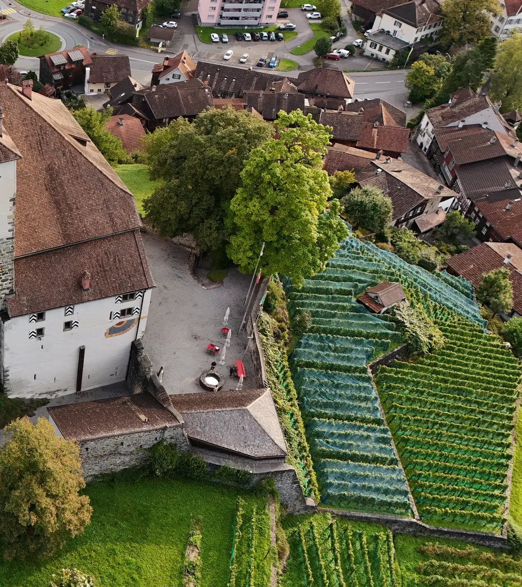 Schloss Werdenberg Luftaufnahme 6 rechts