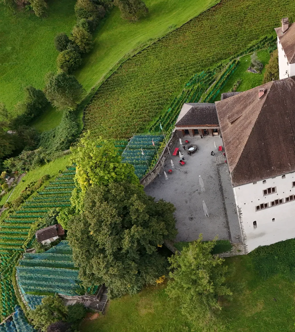 Schloss Werdenberg Luftaufnahme 8 links