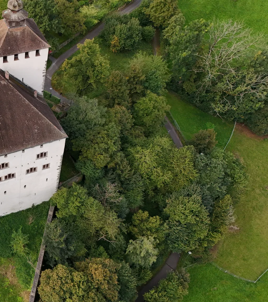 Schloss Werdenberg Luftaufnahme 8 rechts