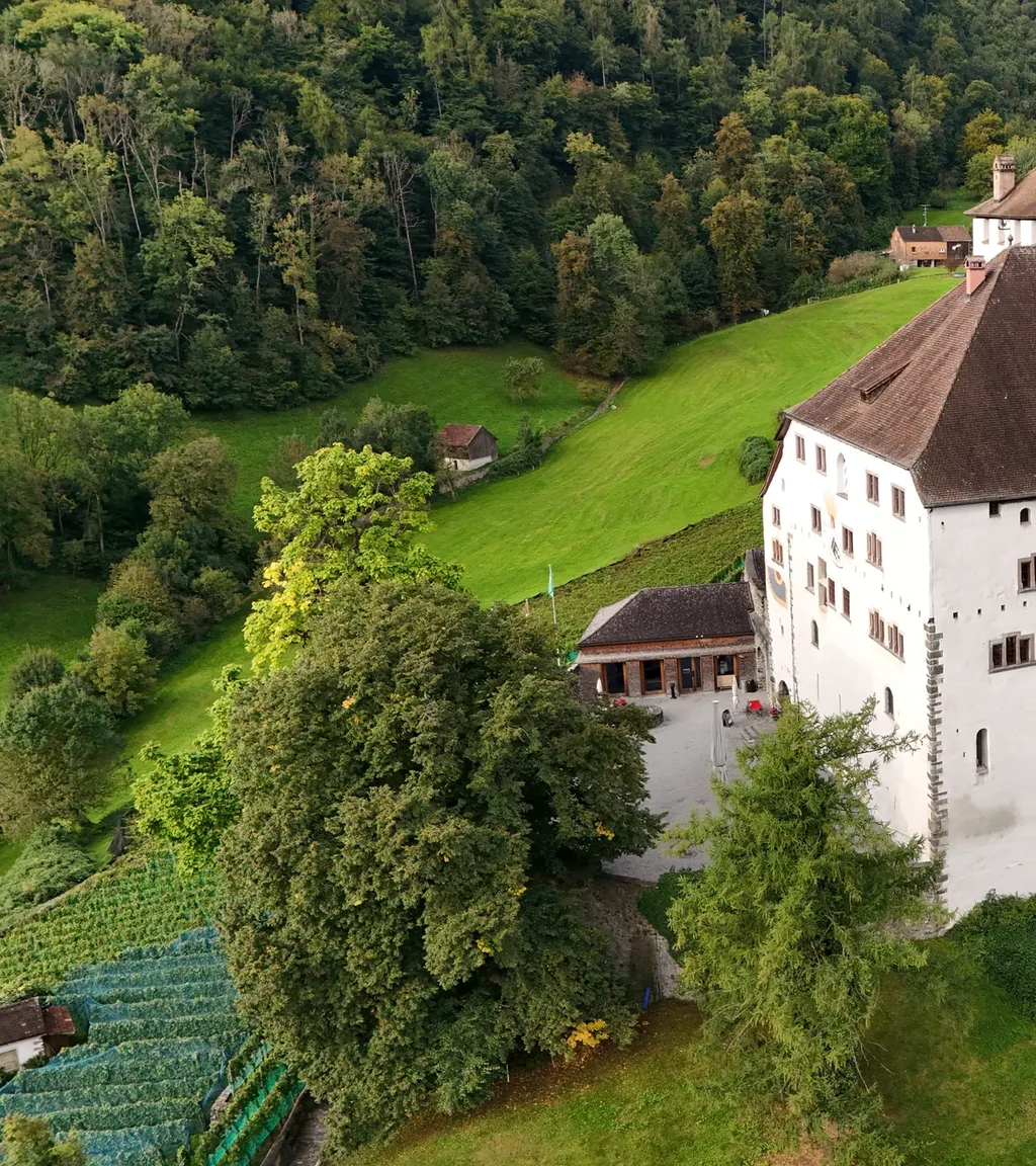 Schloss Werdenberg Luftaufnahme 9 links